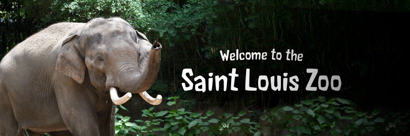 Saint Louis Zoo banner