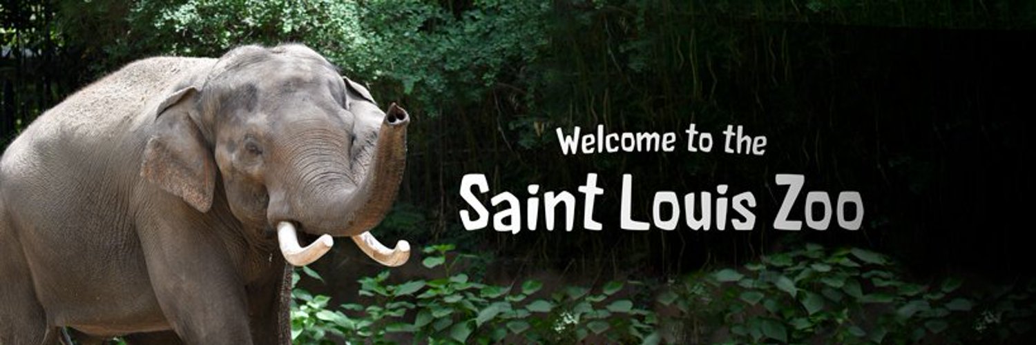 Saint Louis Zoo Profile Banner