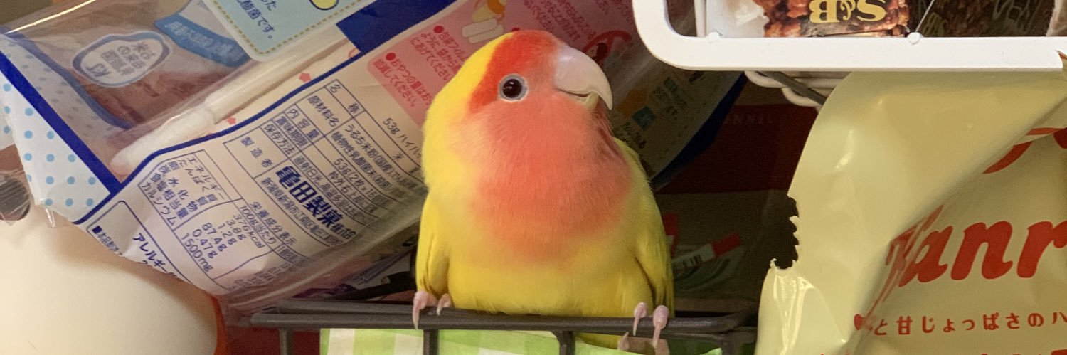 kohata's profile banner image