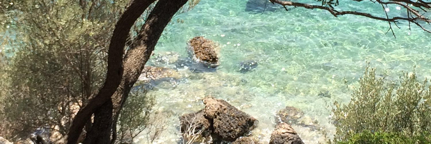 kezban gökçeoğlu banner