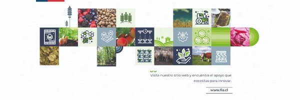FIA_Chile Profile Banner