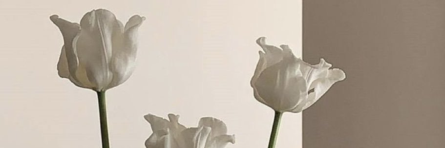 skorpiodiaries's profile banner image