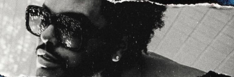 𝙚𝙡𝙞𝙤 🌴 banner