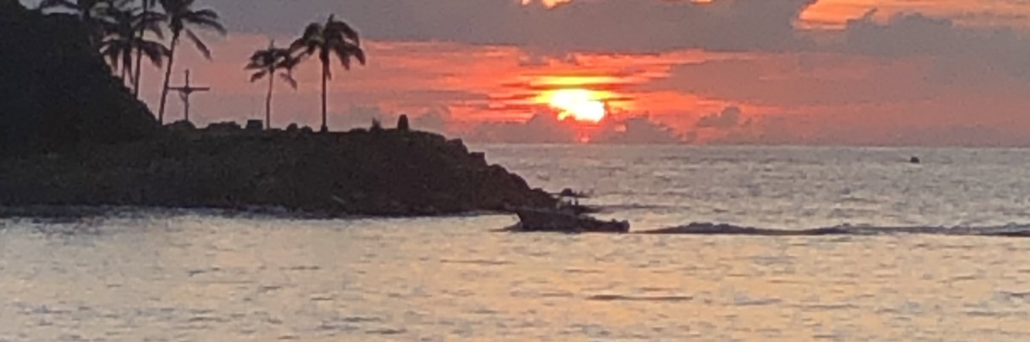 Naxsea's profile banner image