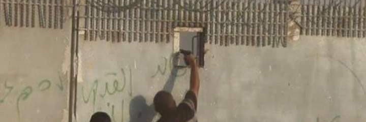 🇵🇸🇵🇸🇵🇸 banner