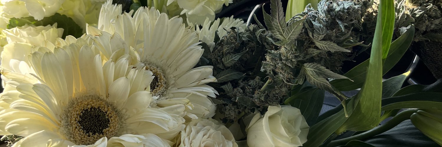 Seity__'s profile banner image