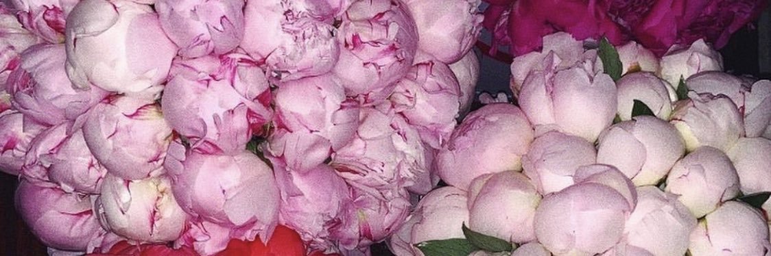 Misshyoof's profile banner image