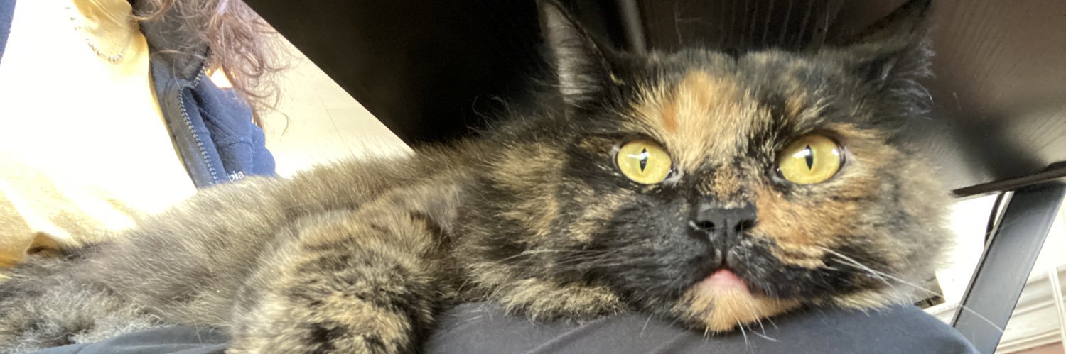 emiilyrubin's profile banner image