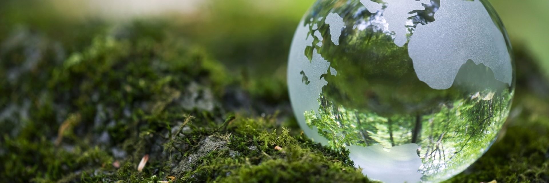 Tiago Botelho banner