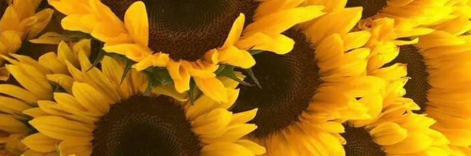 TrinidadMaria_'s profile banner image