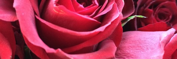ernkrans Profile Banner