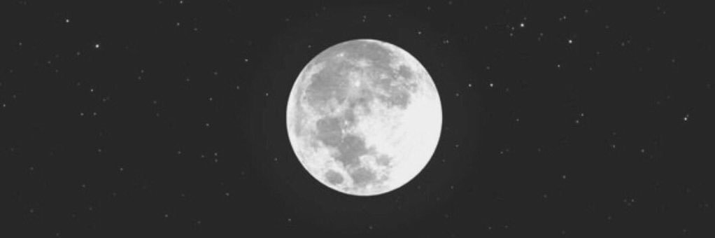 mshmsho2's profile banner image