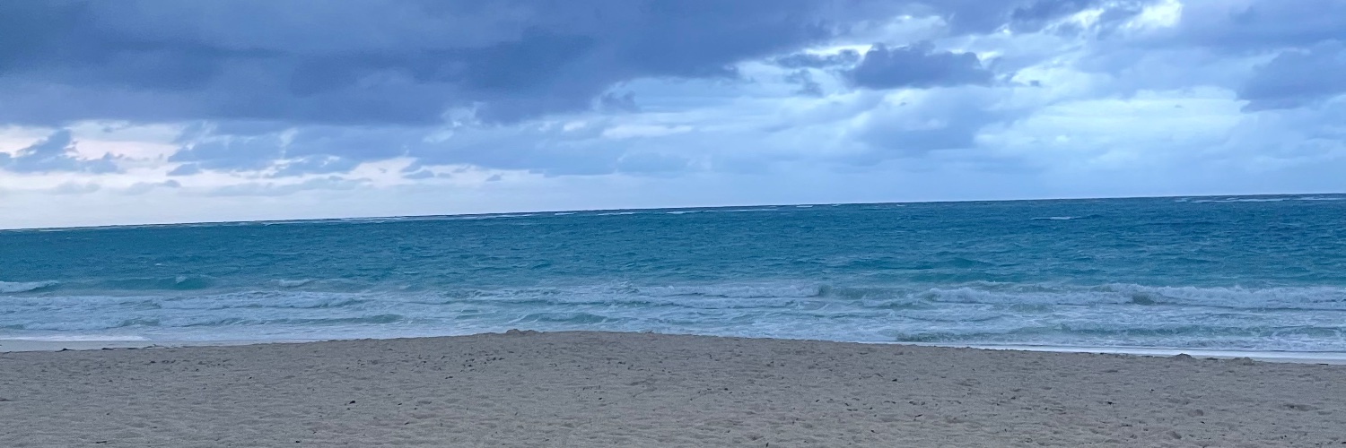 RhodeSupport's profile banner image
