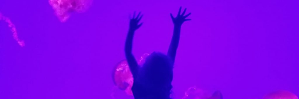 luperr84's profile banner image