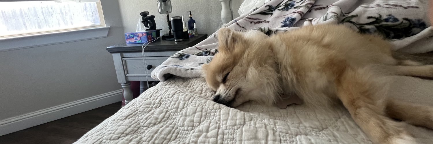 danielcam6's profile banner image