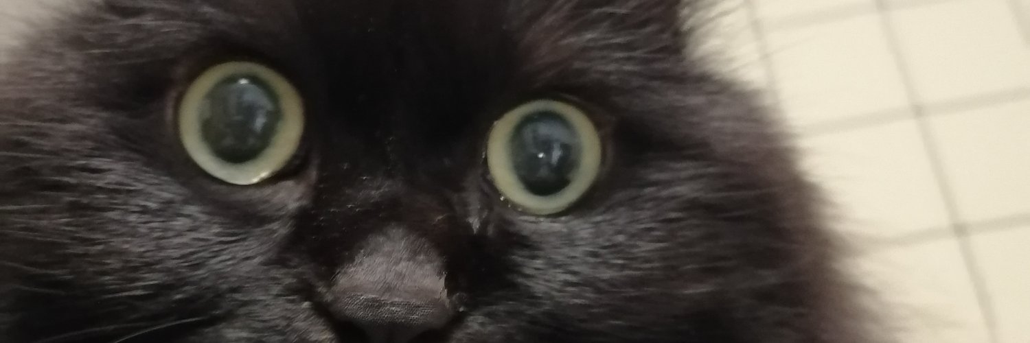 machis4927's profile banner image