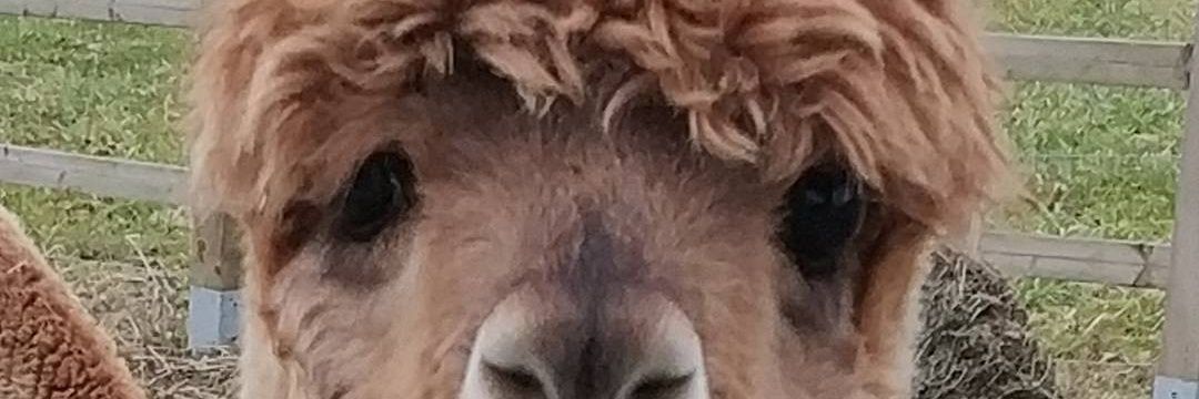 _djip's profile banner image