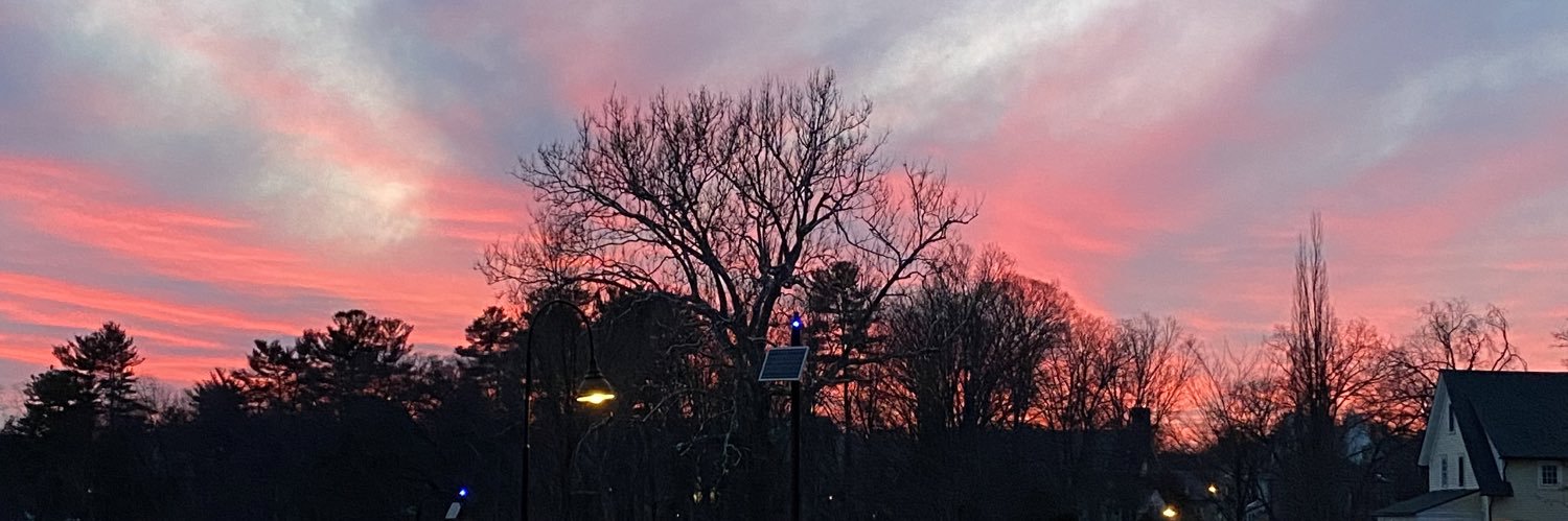 renaissancedyke's profile banner image
