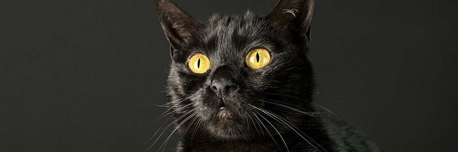 Costantinvs's profile banner image