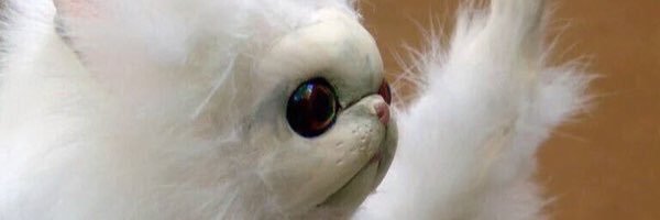 cosmitokramer's profile banner image