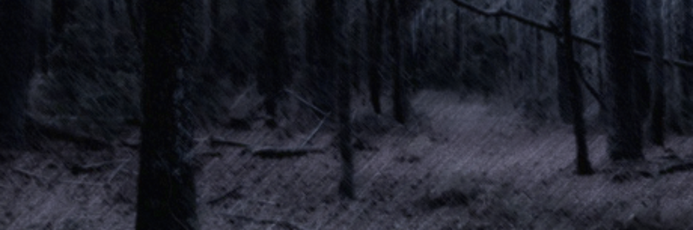 zevrainai's profile banner image