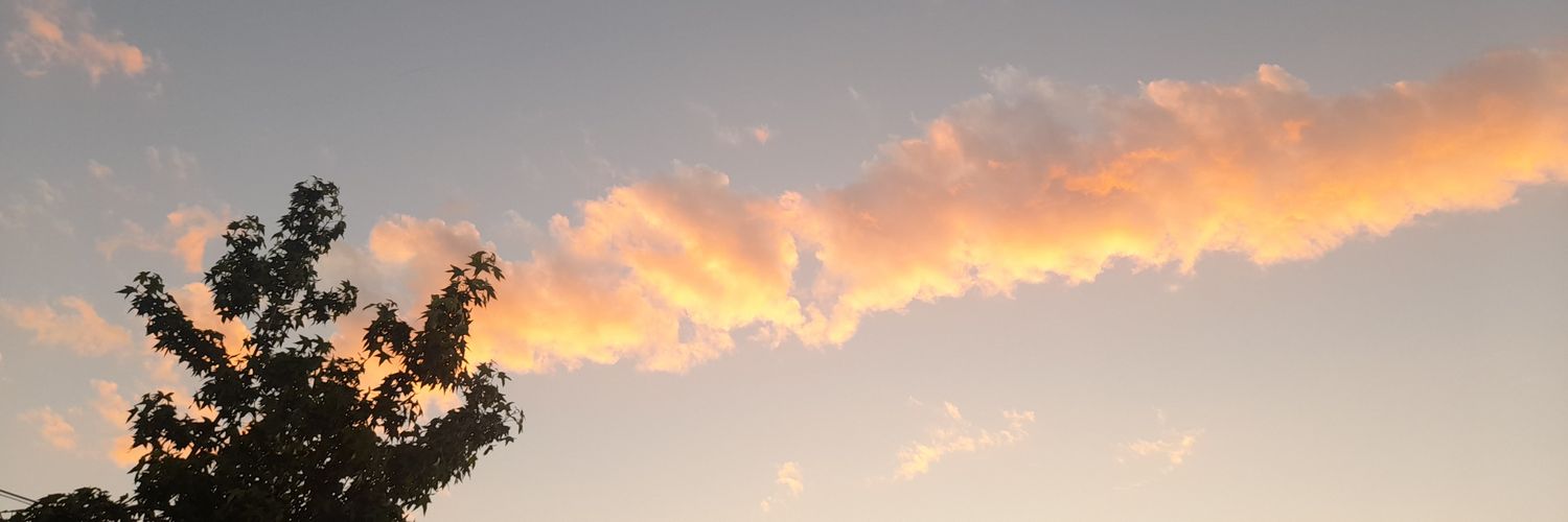 rguinis's profile banner image