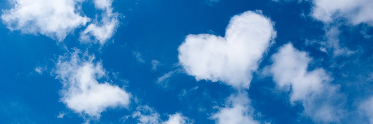 alysongannon's profile banner image