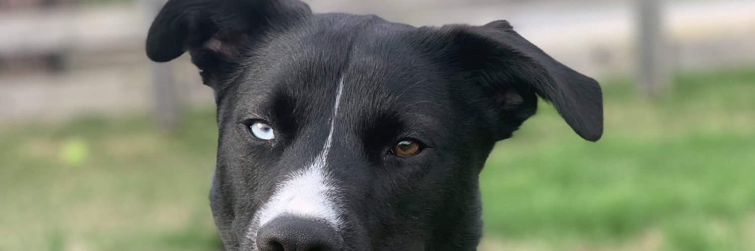 Coleyjudson's profile banner image