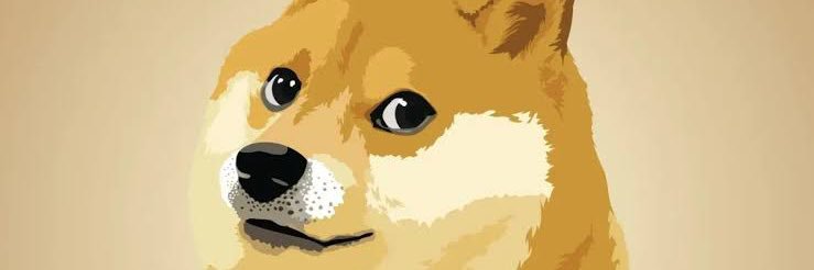 ELON REEVES CHAT banner