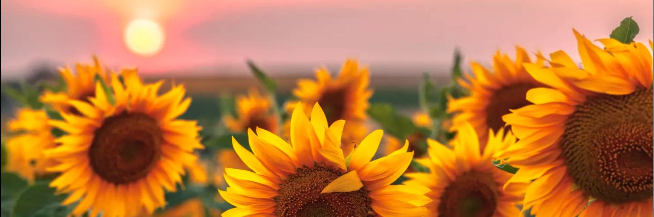 ComeryTaina's profile banner image