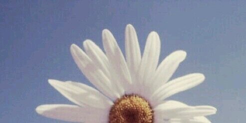 laurenbethyork's profile banner image
