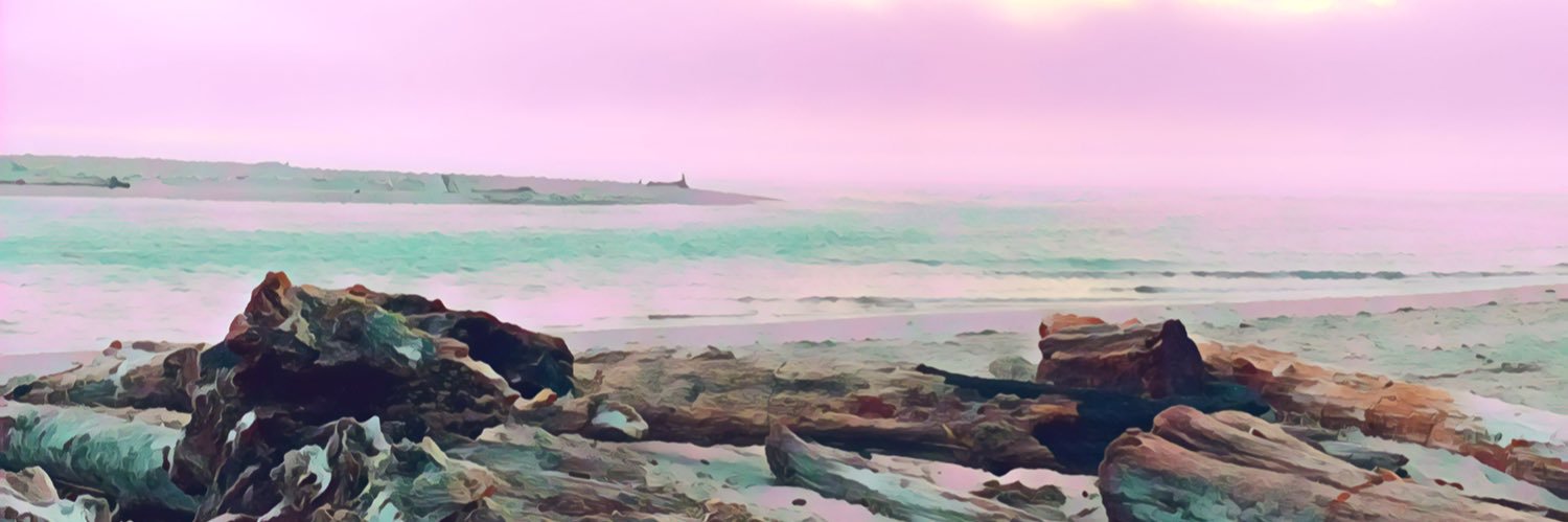 CoraMurphy8's profile banner image