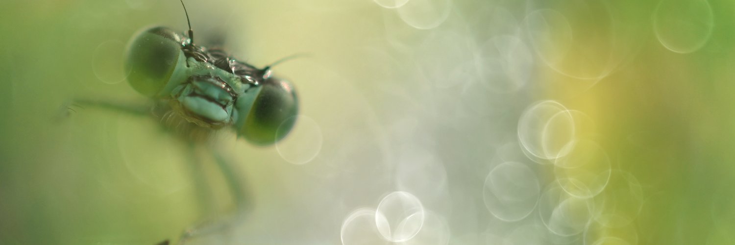 CBarberPhoto's profile banner image
