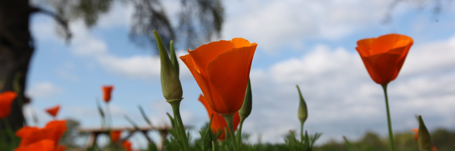 AmericanRiverConservancy banner