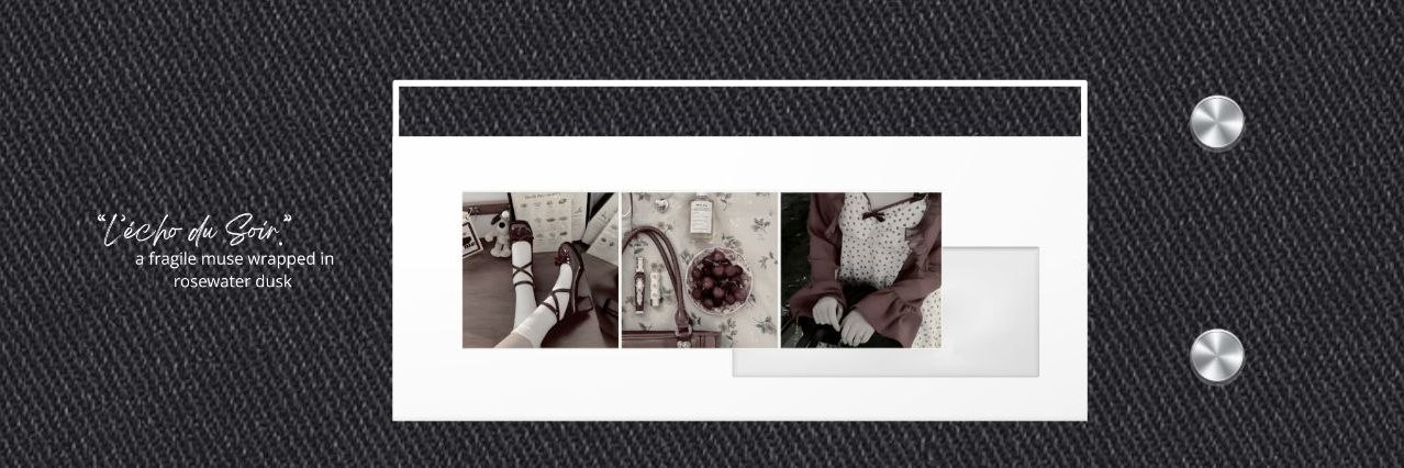 Asshliyn's profile banner image