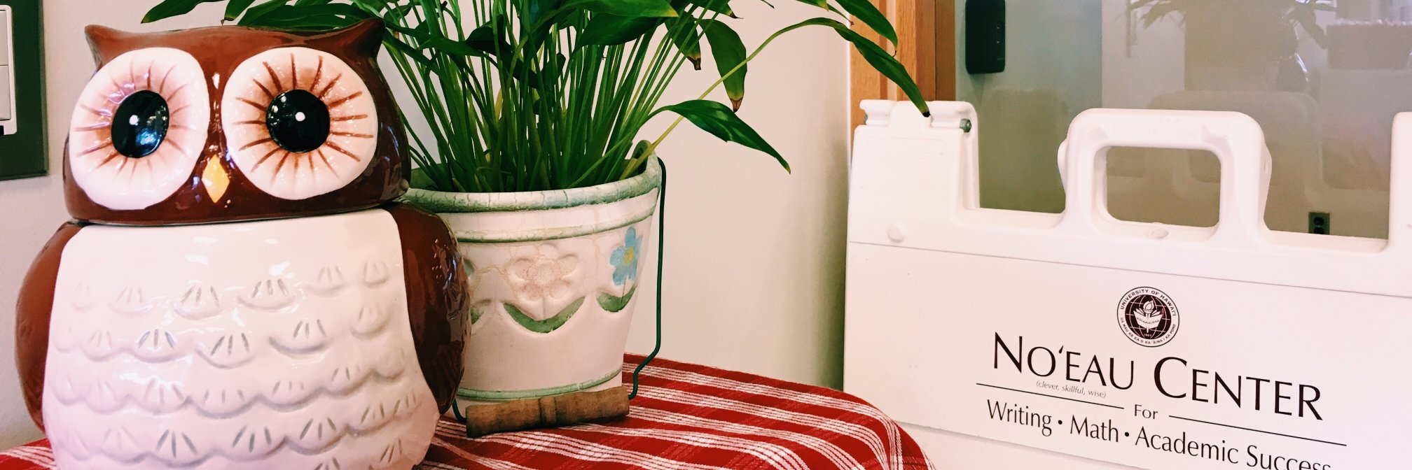 NoeauCenter's profile banner image