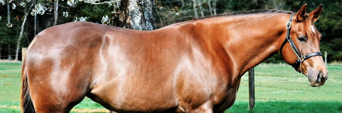 clackawoot's profile banner image