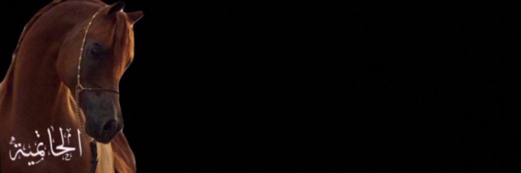 max002200's profile banner image
