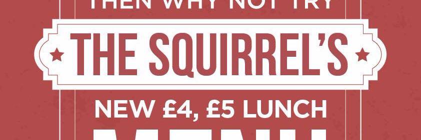 CovSquirrel's profile banner image
