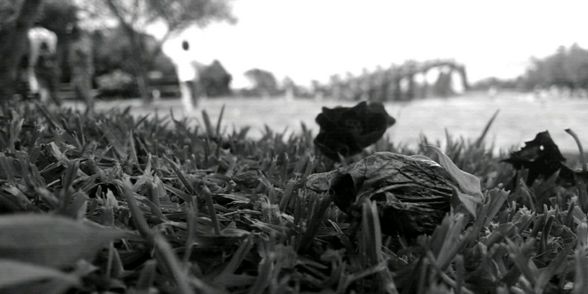 _No_Disponible's profile banner image