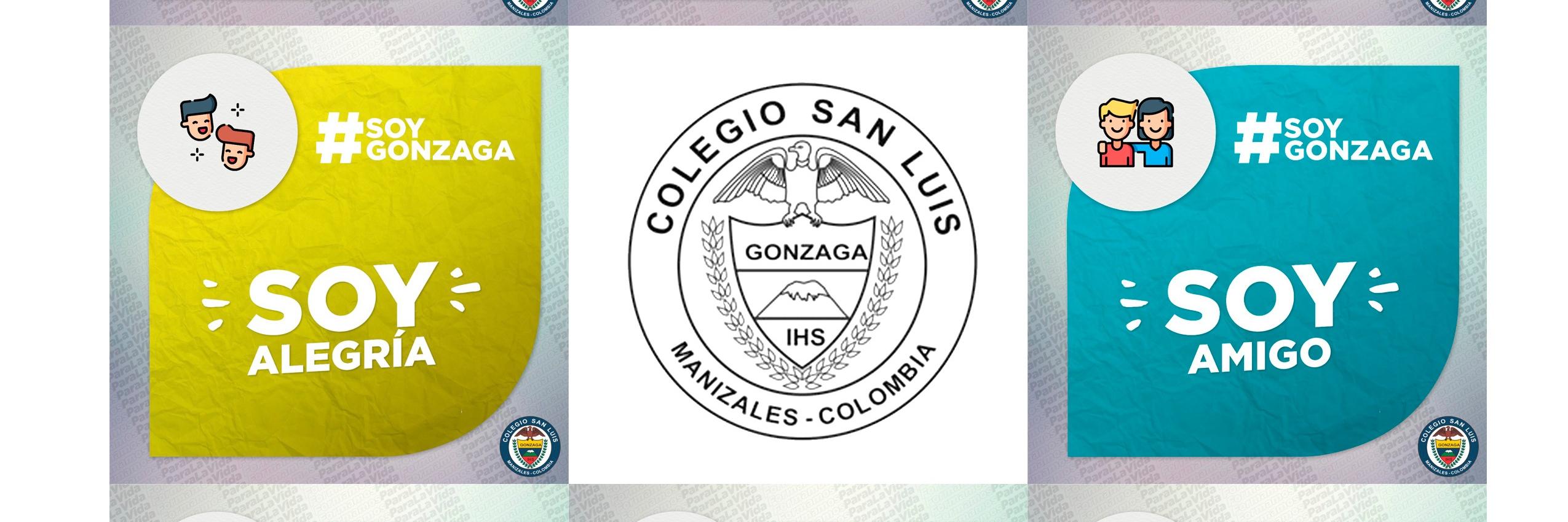 vtrgonzaga's profile banner image