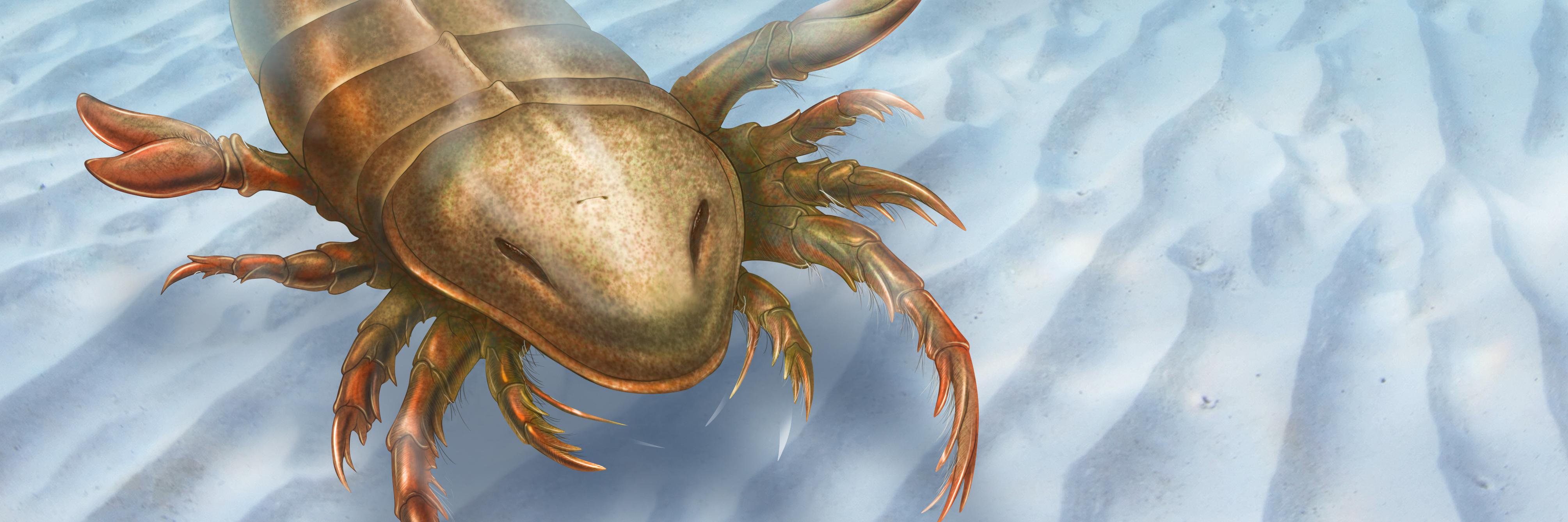 FossilDetective's profile banner image