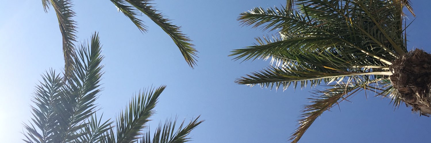ViskerX's profile banner image