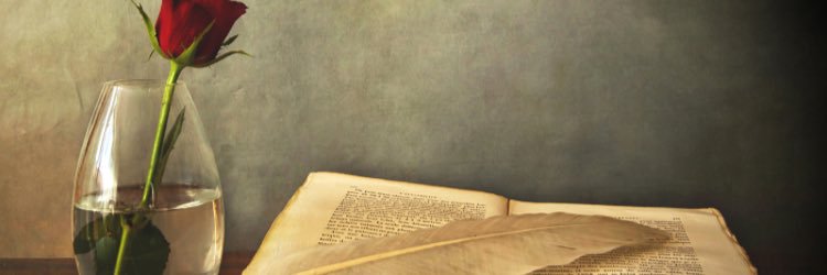 BookBundlz's profile banner image