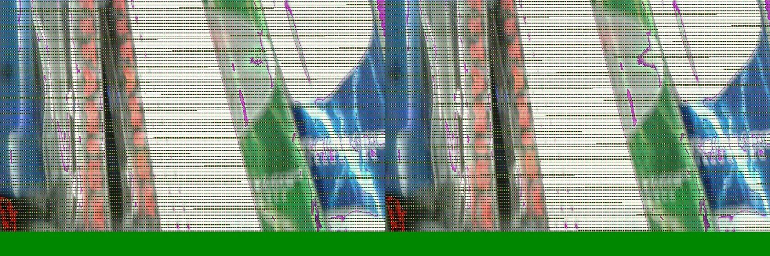 evanstapler's profile banner image