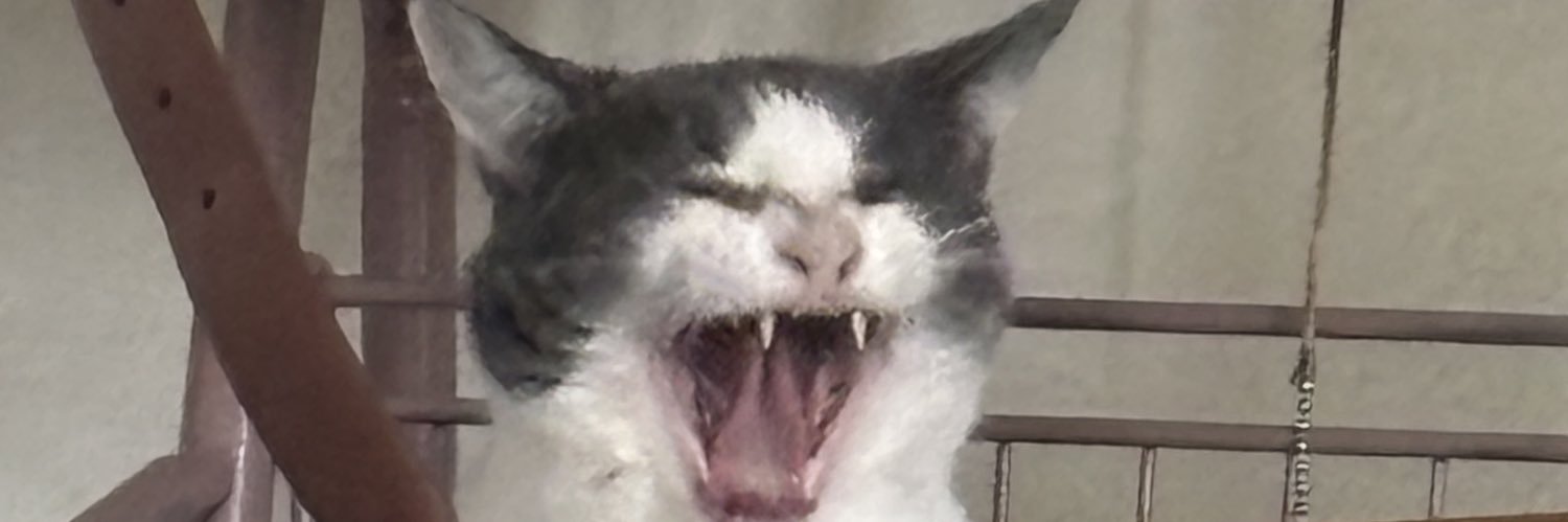 benderkim's profile banner image