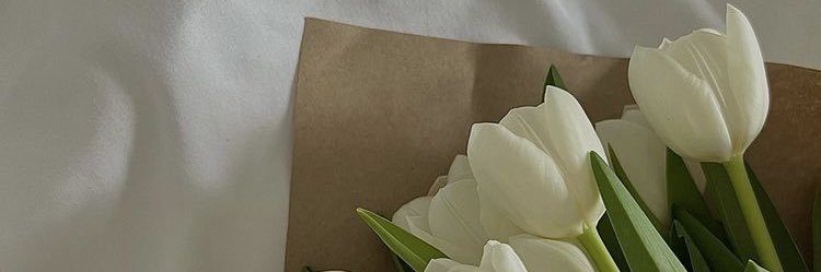 Xandra Ferrín banner