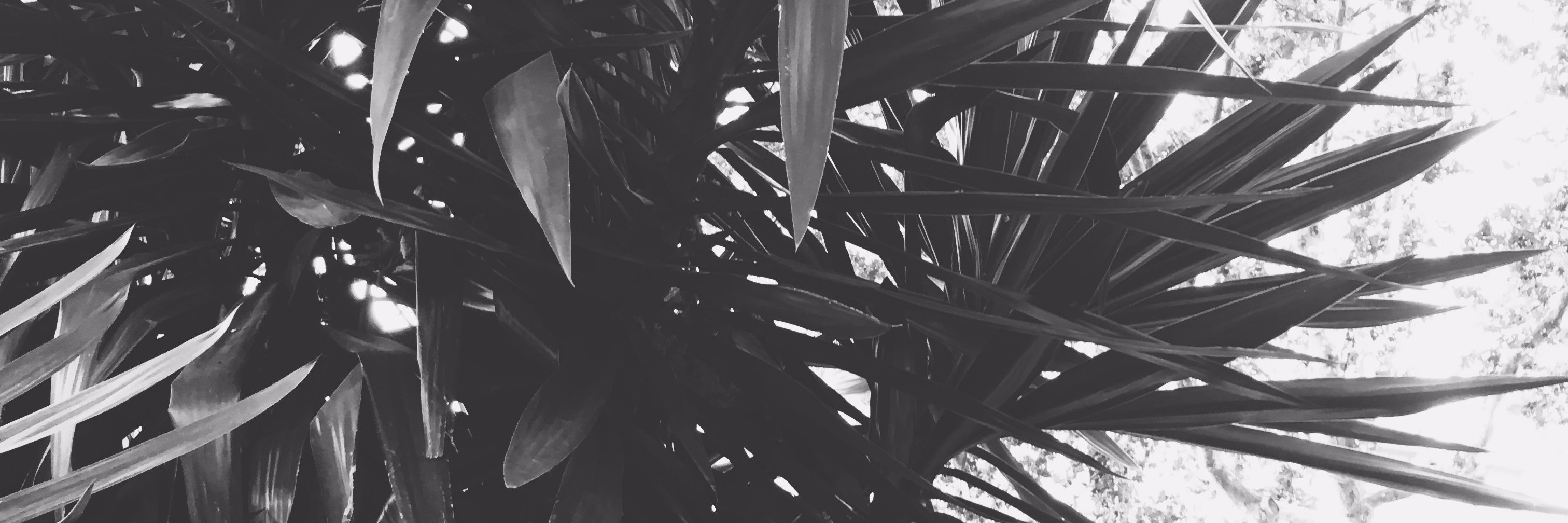 RJinMarch's profile banner image