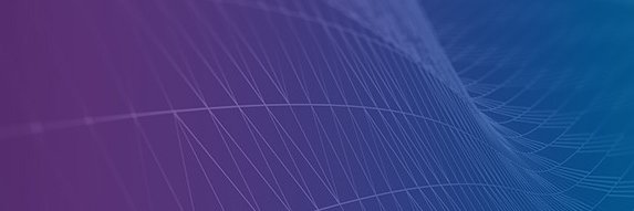 Solera | DealerSocket banner