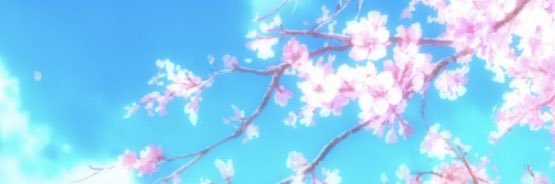 Curlyhairedqt_1's profile banner image